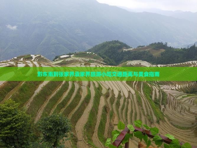 黔东南到张家界袁家界旅游小吃交通距离与美食指南