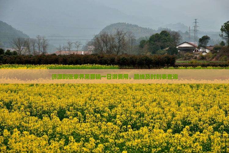 济源到张家界芙蓉镇一日游费用、路线及时刻表查询