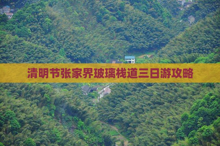 清明节张家界玻璃栈道三日游攻略