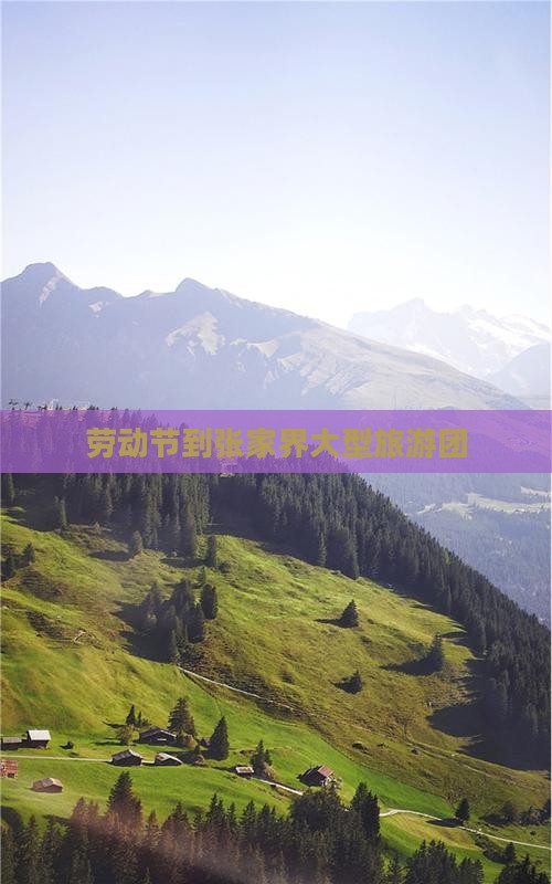 劳动节到张家界大型旅游团
