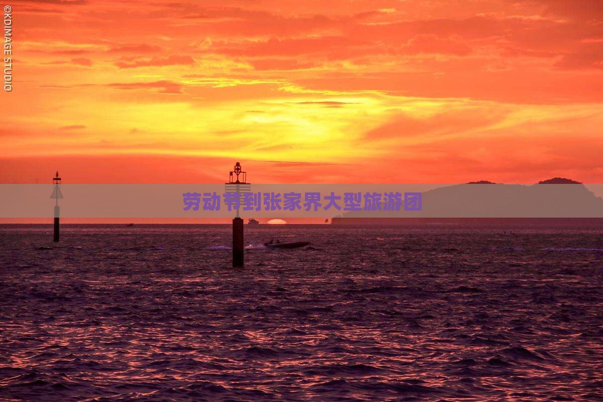 劳动节到张家界大型旅游团