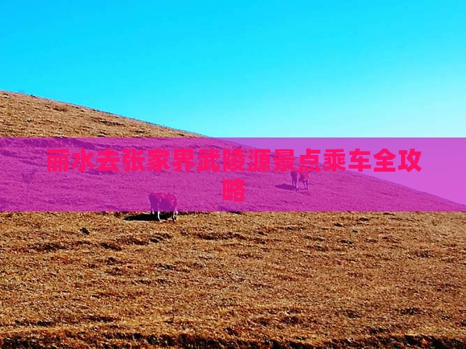 丽水去张家界武陵源景点乘车全攻略