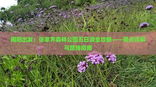 揭阳出发：张家界森林公园五日游全攻略——景点详解与路线指南