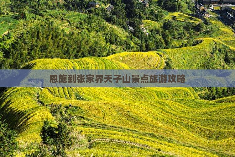 恩施到张家界天子山景点旅游攻略