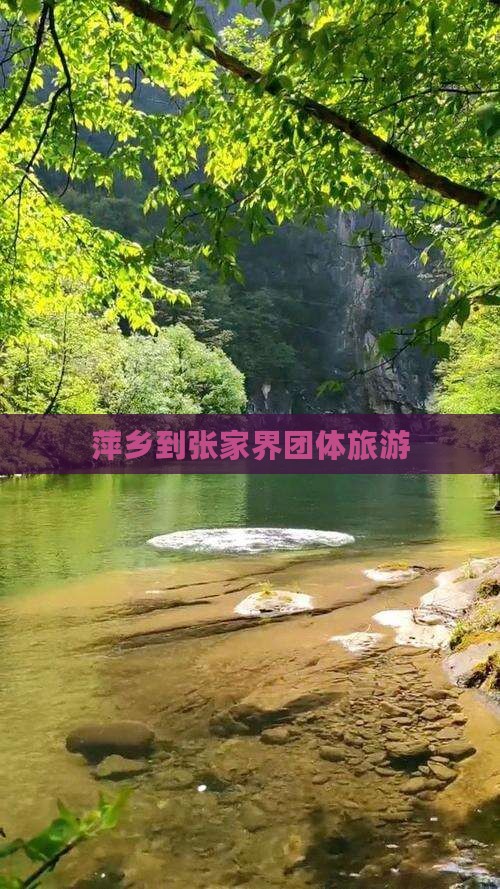 萍乡到张家界团体旅游