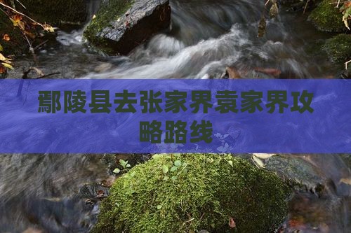 鄢陵县去张家界袁家界攻略路线