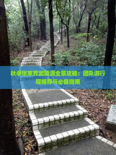 秋季张家界武陵源全景攻略：团队游行程推荐与必备指南