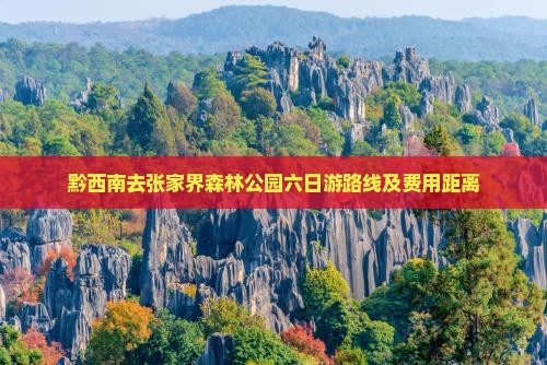 黔西南去张家界森林公园六日游路线及费用距离