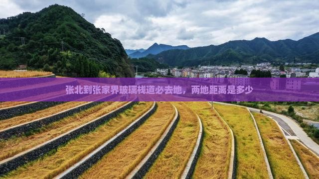 张北到张家界玻璃栈道必去地，两地距离是多少