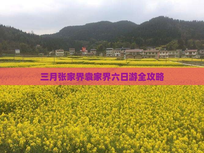 三月张家界袁家界六日游全攻略