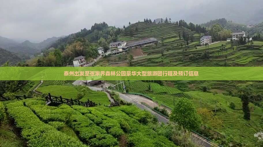泰州出发至张家界森林公园豪华大型旅游团行程及预订信息