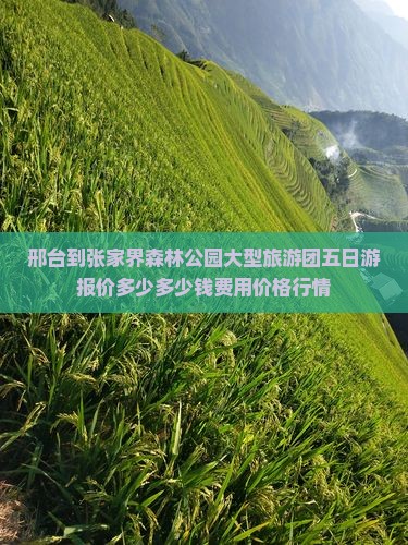 邢台到张家界森林公园大型旅游团五日游报价多少多少钱费用价格行情