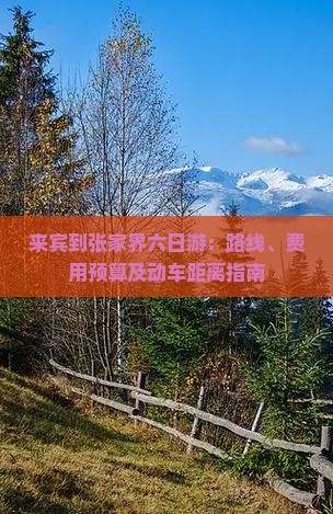 来宾到张家界六日游：路线、费用预算及动车距离指南