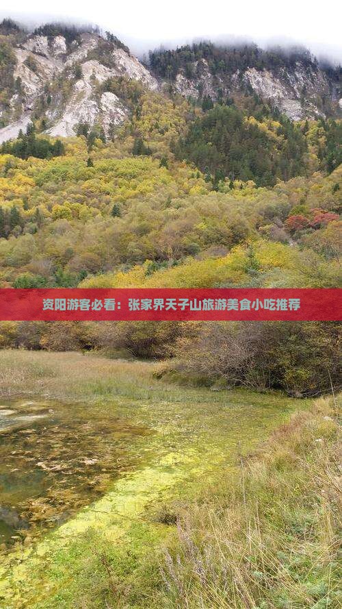资阳游客必看：张家界天子山旅游美食小吃推荐