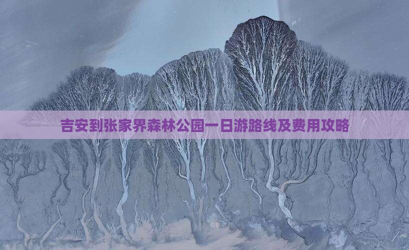 吉安到张家界森林公园一日游路线及费用攻略