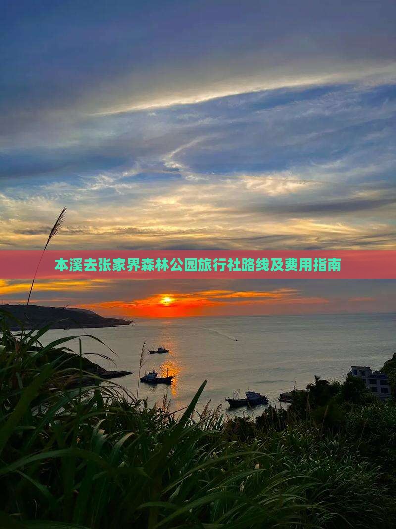 本溪去张家界森林公园旅行社路线及费用指南