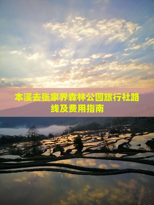 本溪去张家界森林公园旅行社路线及费用指南