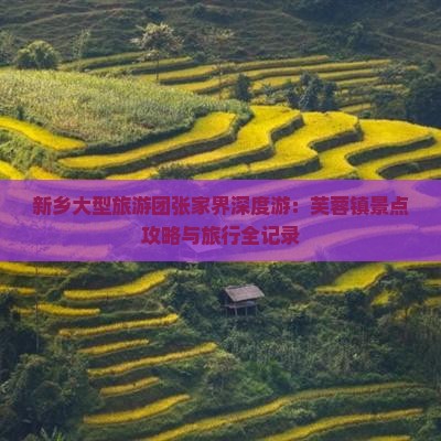 新乡大型旅游团张家界深度游：芙蓉镇景点攻略与旅行全记录