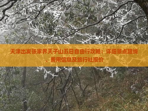 天津出发张家界天子山五日自由行攻略：详细景点路线、费用信息及旅行社报价