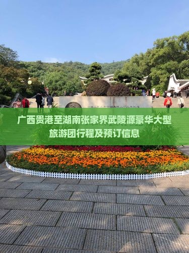 广西贵港至湖南张家界武陵源豪华大型旅游团行程及预订信息