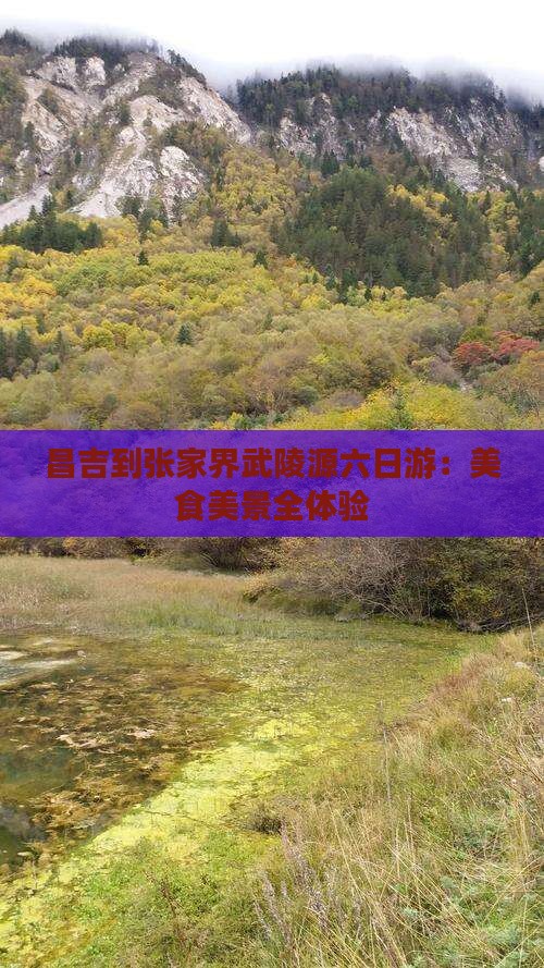 昌吉到张家界武陵源六日游：美食美景全体验