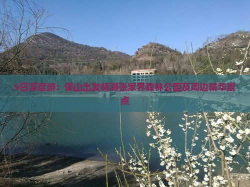 5日深度游：保山出发畅游张家界森林公园及周边精华景点