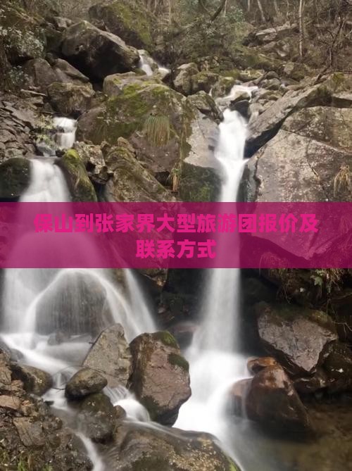 保山到张家界大型旅游团报价及联系方式