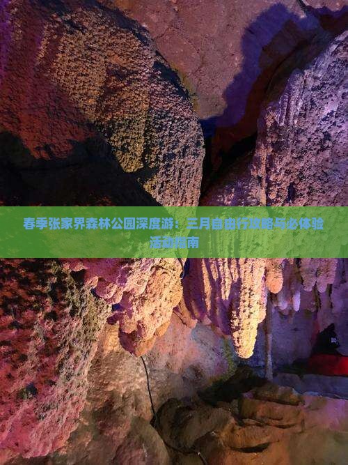 春季张家界森林公园深度游：三月自由行攻略与必体验活动指南