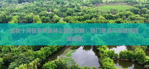 金秋十月张家界森林公园全攻略：热门景点与深度游路线推荐