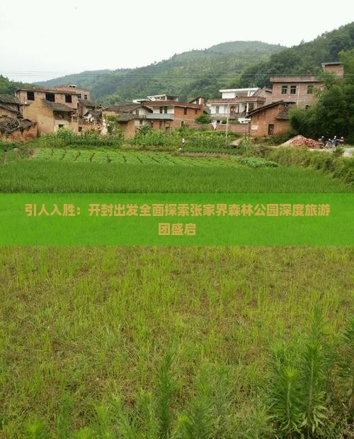 引人入胜：开封出发全面探索张家界森林公园深度旅游团盛启