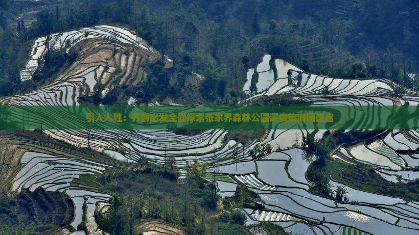 引人入胜：开封出发全面探索张家界森林公园深度旅游团盛启