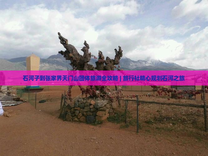 石河子到张家界天门山团体旅游全攻略 | 旅行社精心规划石河之旅