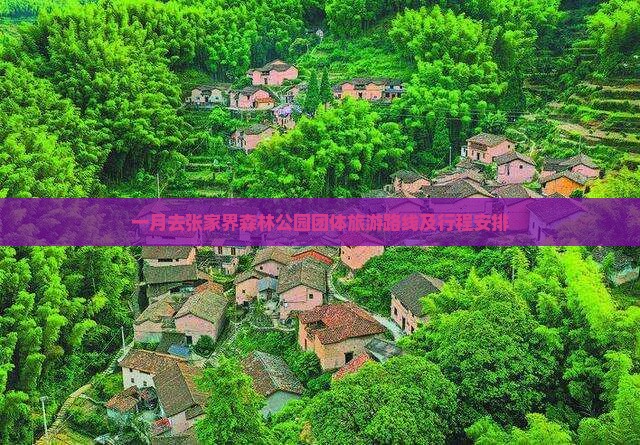 一月去张家界森林公园团体旅游路线及行程安排