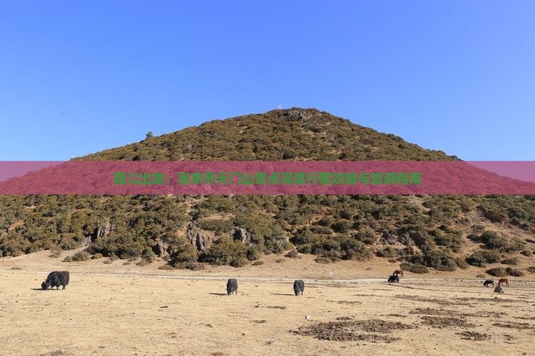 阳江出发：张家界天门山景点深度行程攻略与旅游指南