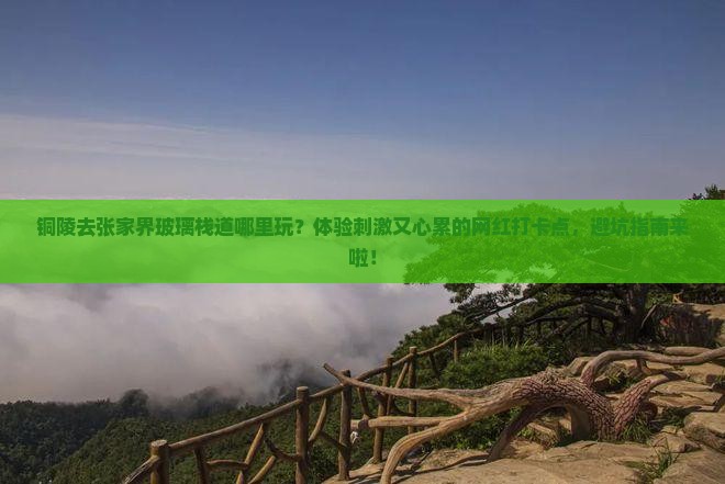 铜陵去张家界玻璃栈道哪里玩