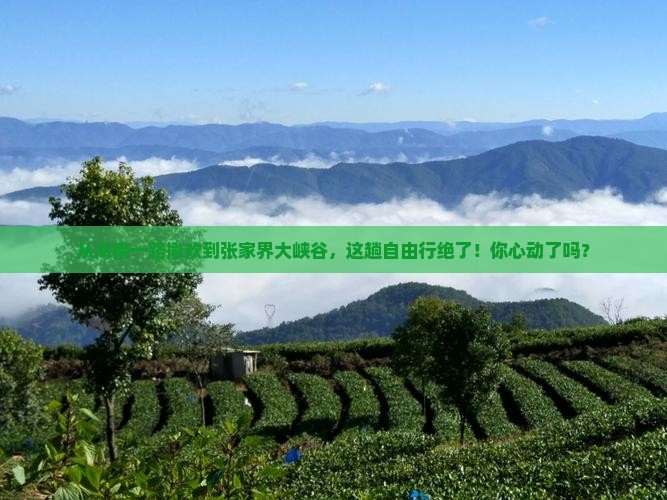 海南省直辖到张家界大峡谷自由团
