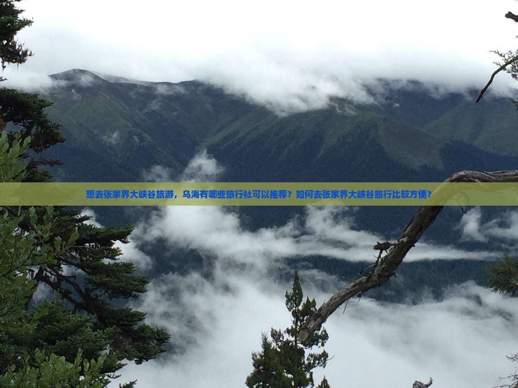 乌海去张家界大峡谷旅行社