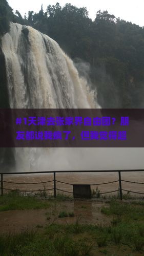 天津去张家界自由团
