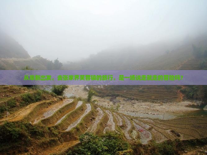 阜新去张家界芙蓉镇大型旅游团