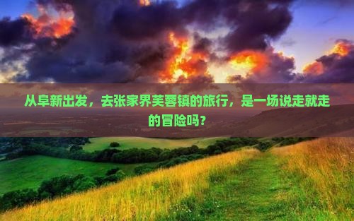 阜新去张家界芙蓉镇大型旅游团