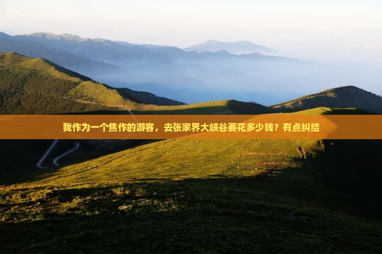 焦作去张家界大峡谷门票