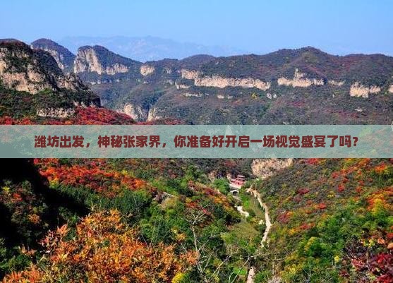 潍坊到张家界大型旅游团