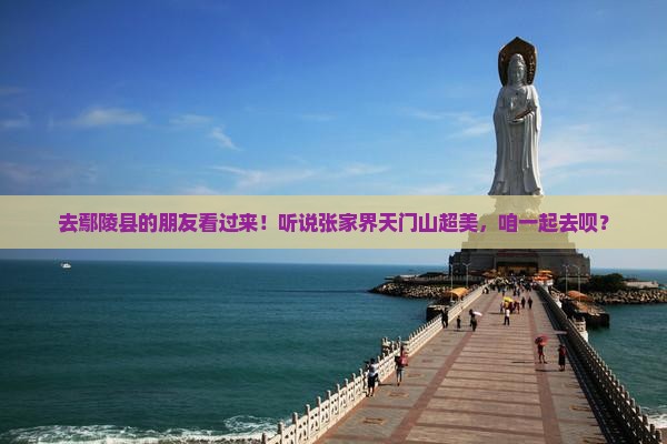 鄢陵县去张家界天门山景点