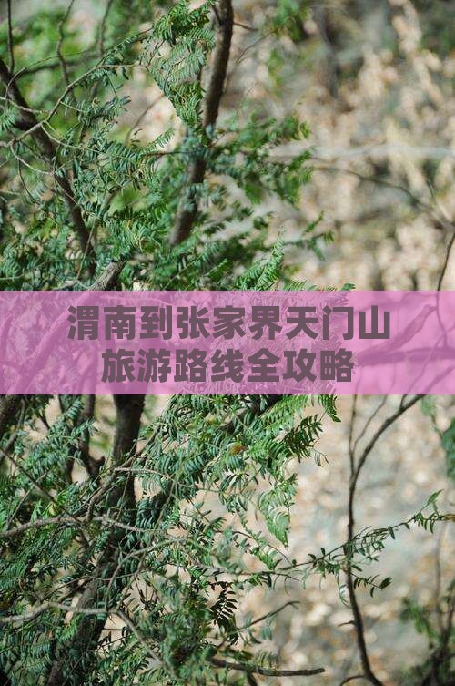 渭南去张家界天门山旅游