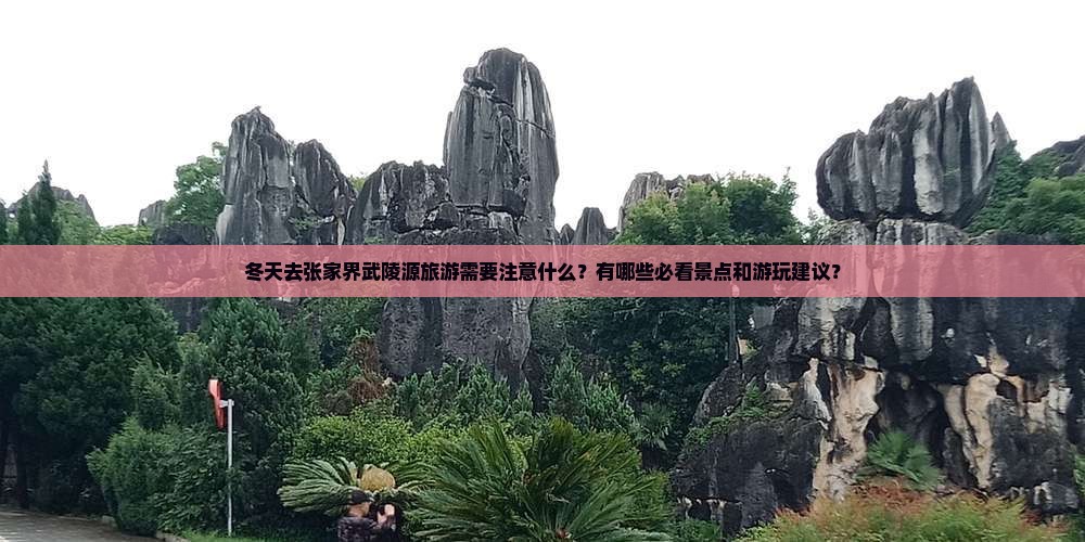 冬天到张家界武陵源攻略