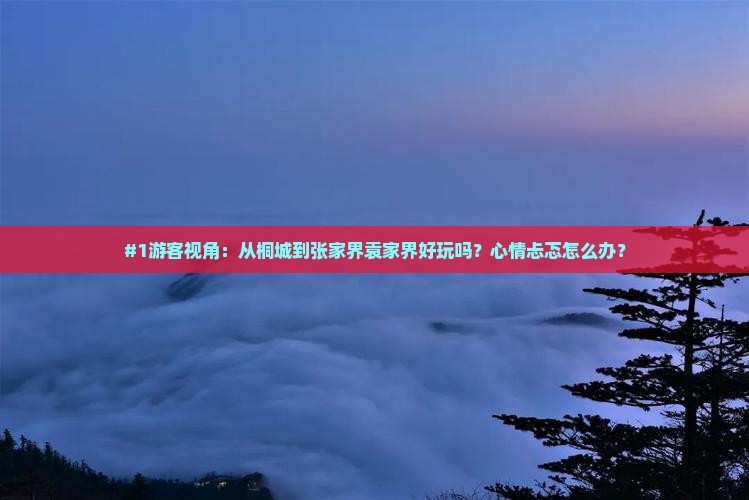 桐城去张家界袁家界景点