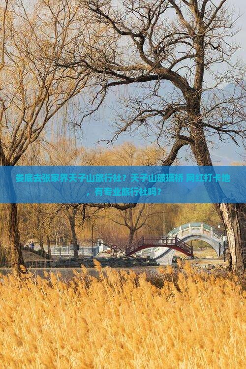 娄底去张家界天子山旅行社