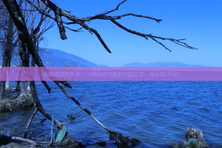 珠海到张家界大型旅游团