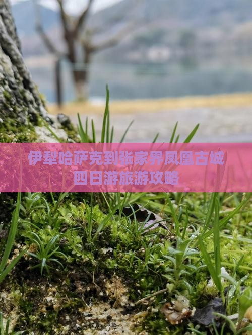 伊犁哈萨克到张家界凤凰古城四日游
