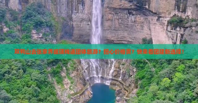 双鸭山去张家界玻璃栈道团体旅游